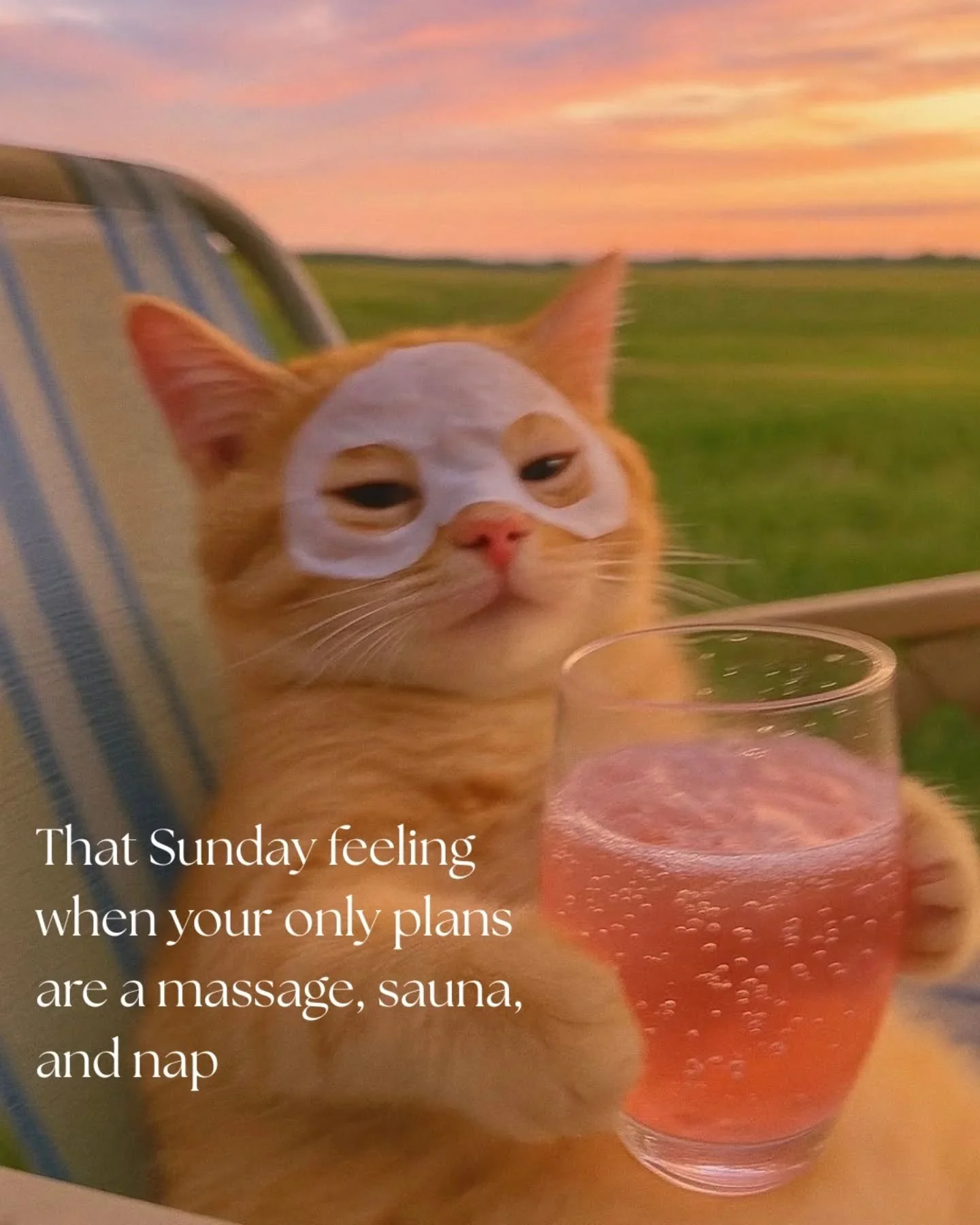 Regulated nervous system ✅ 

Phone on DND ✅ 

No Sunday scaries ✅