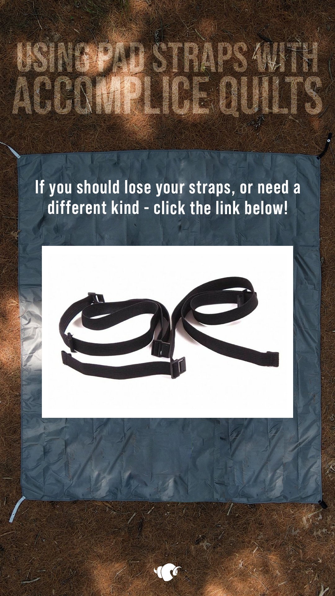 accomplice_padstrap4.jpg