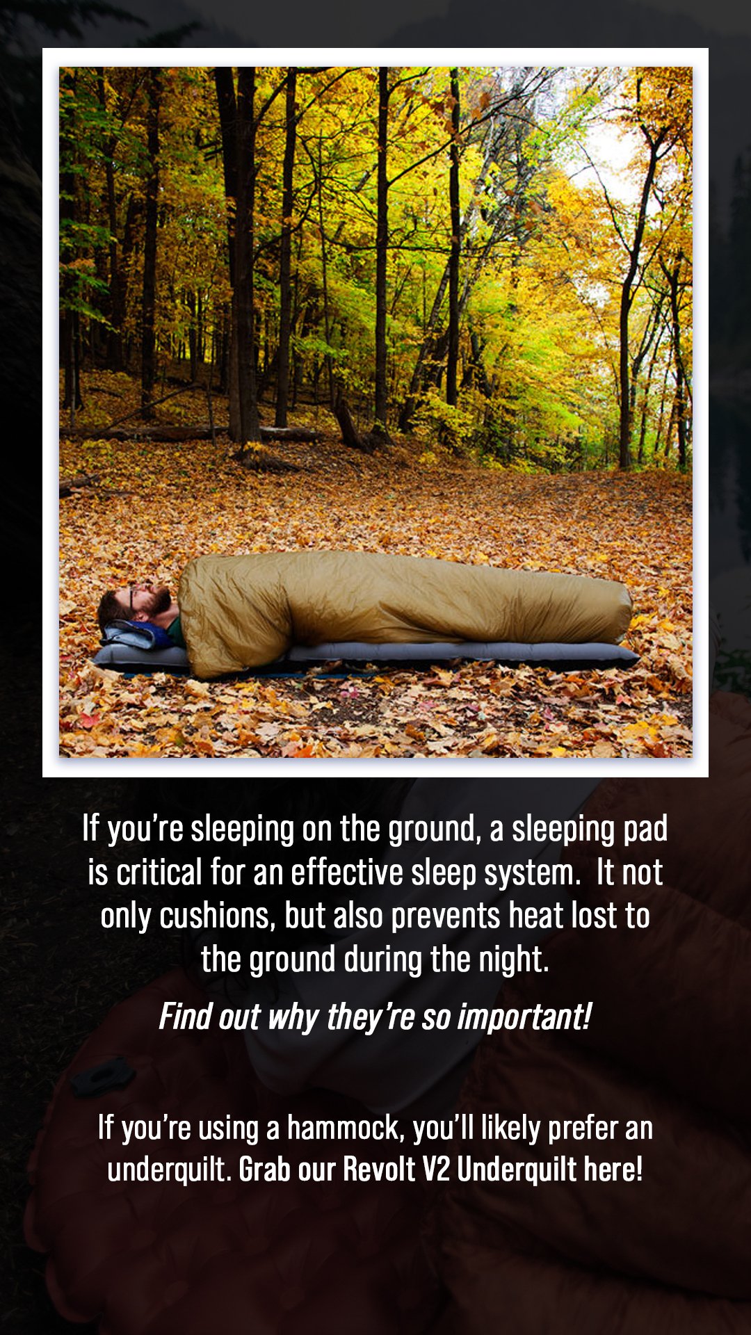 sleepingpad2.jpg