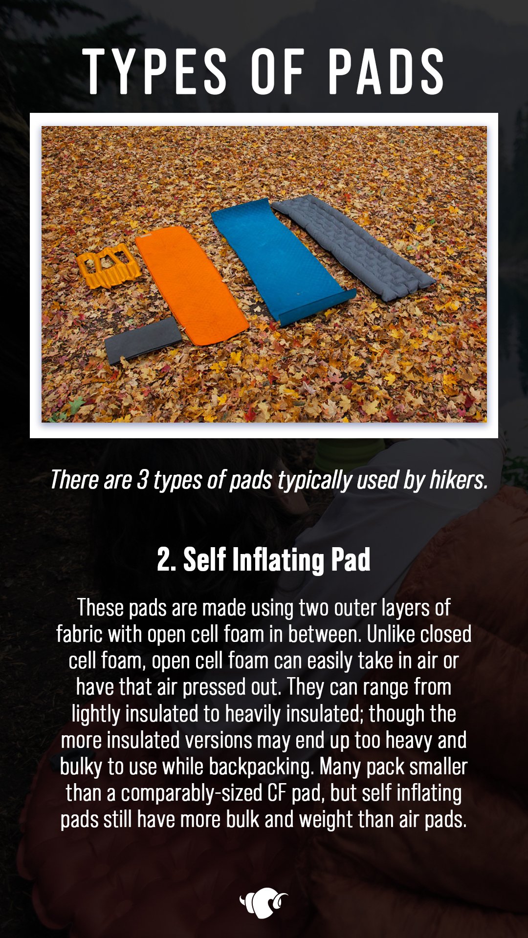 sleepingpad3.5.jpg