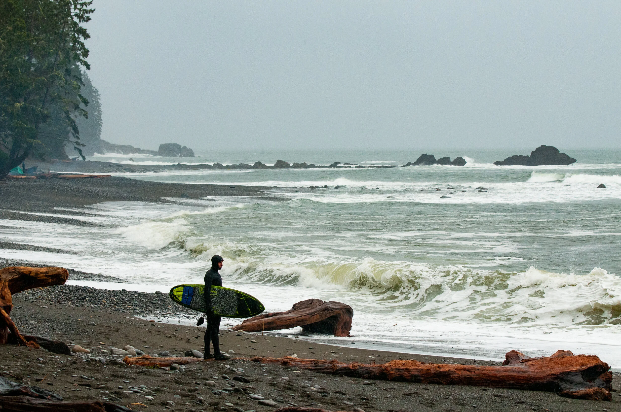 DSC_6894.jpg