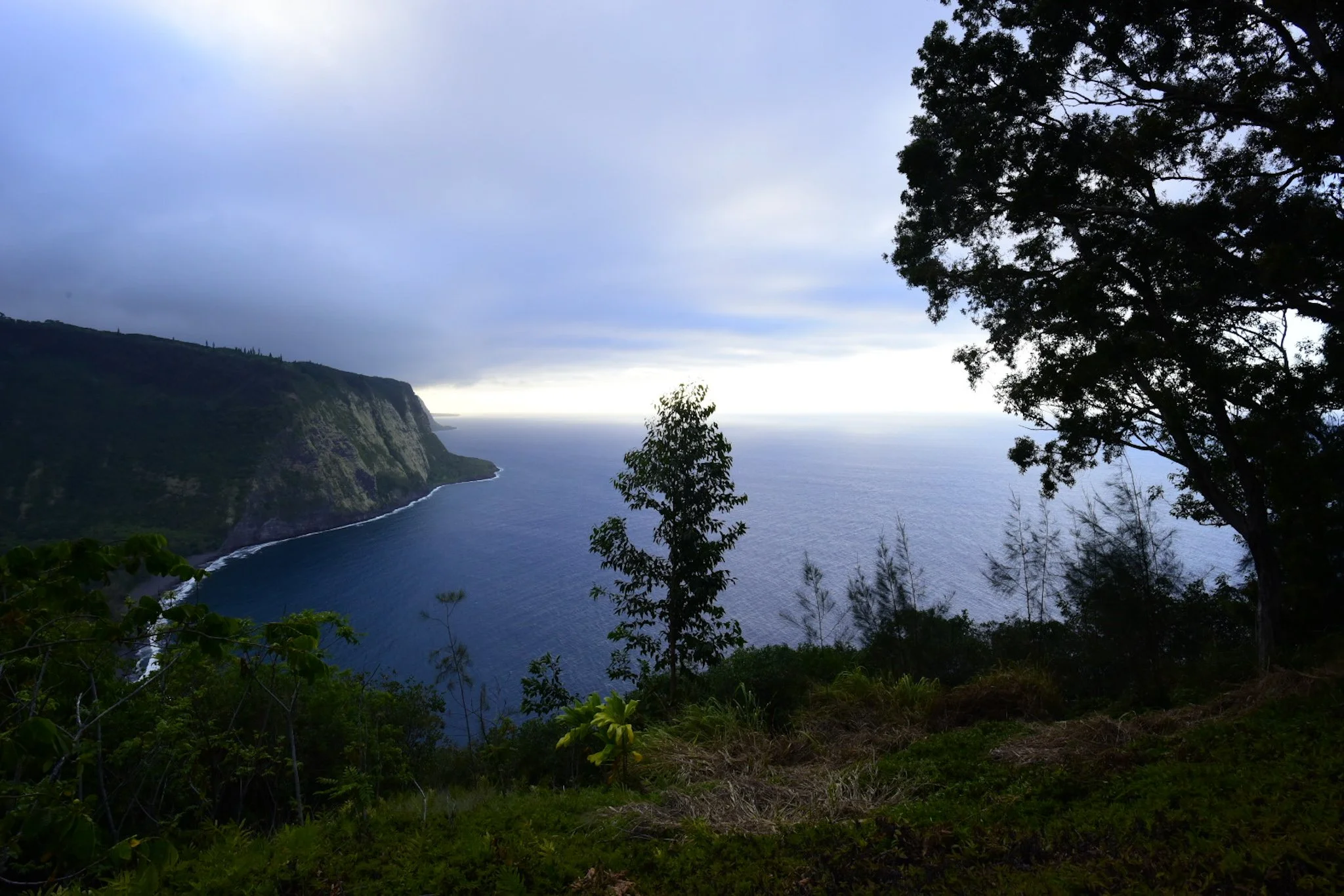 wai'pio beach.jpg