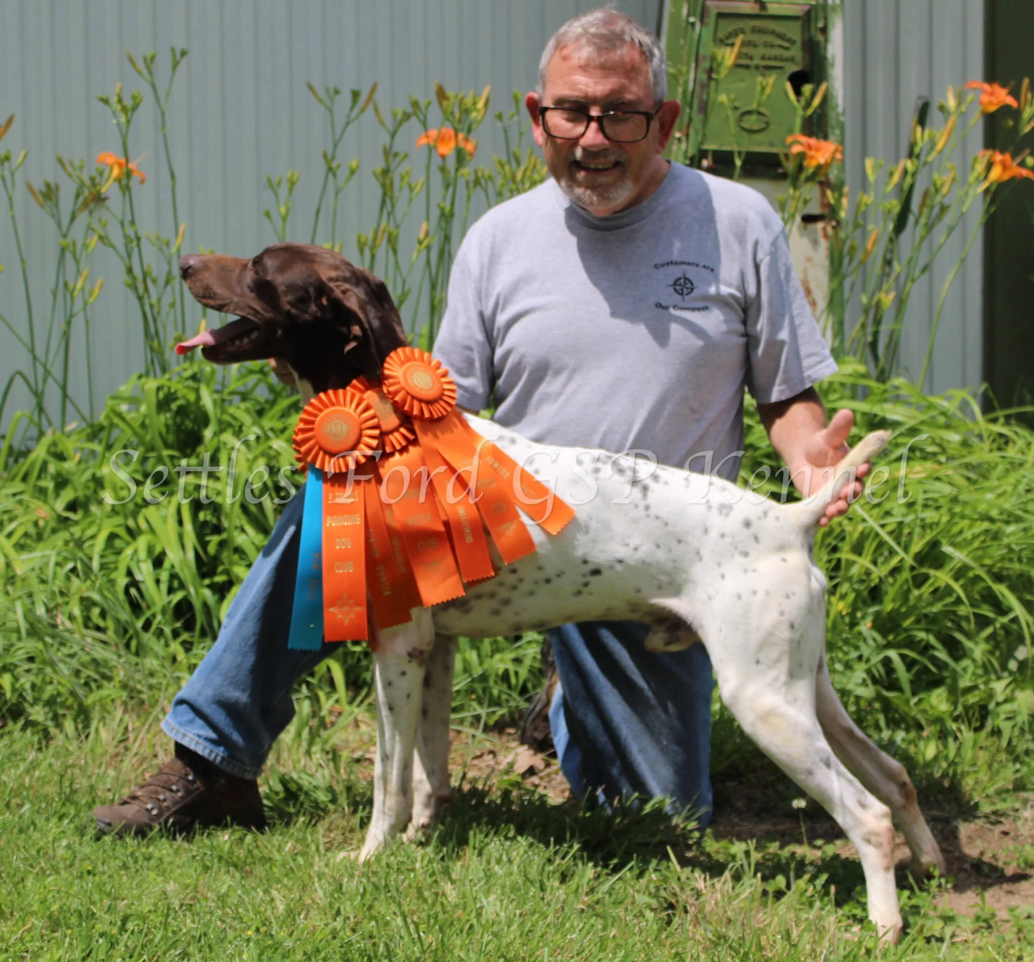 Males — Settles Ford GSP Kennels