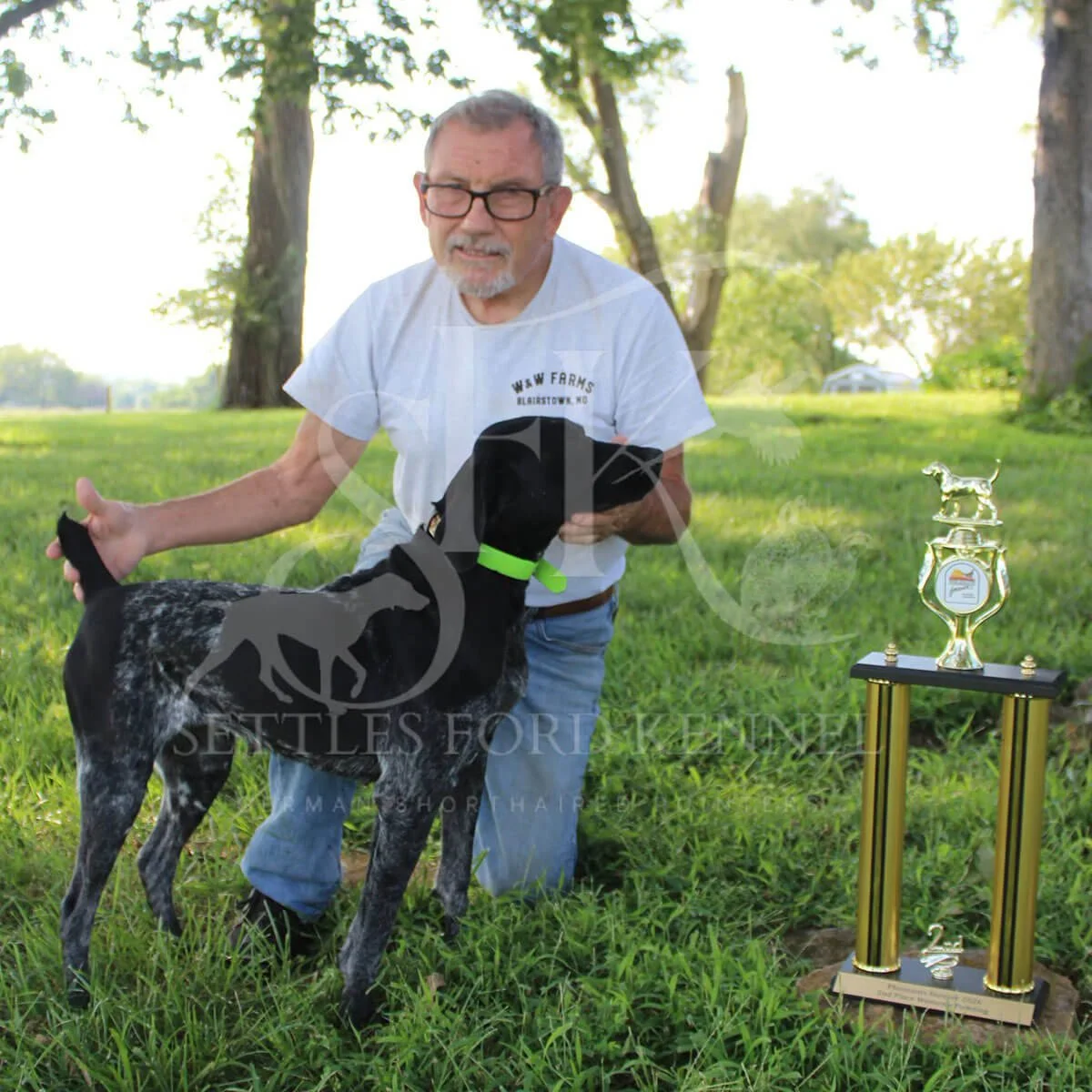 Heidi-German-shorthaired-pointer-hunting-champion-trophy-3.jpg