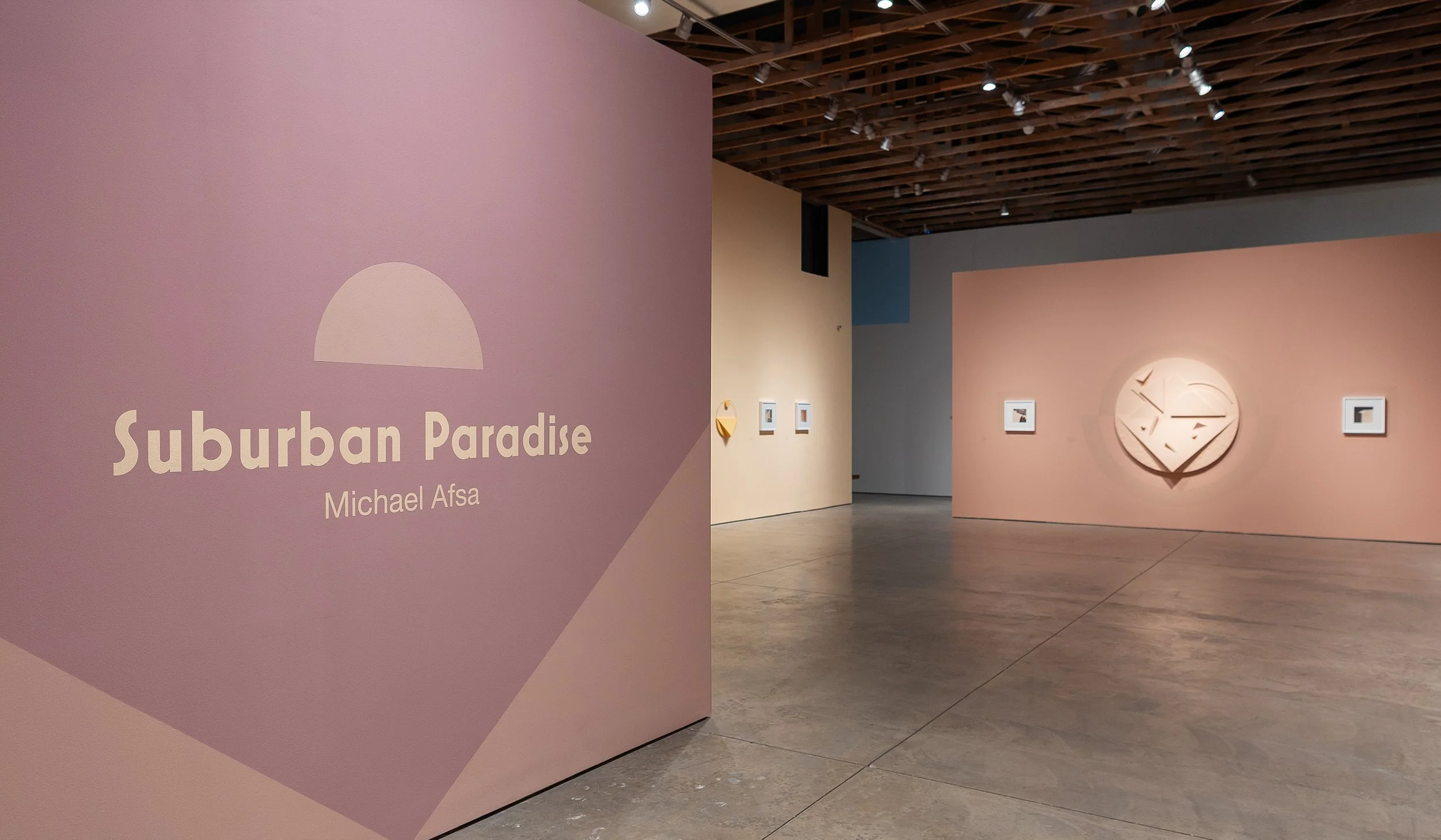 michael-afsa-artist-art-smoca-suburban-paradise-exhibition-2.jpg