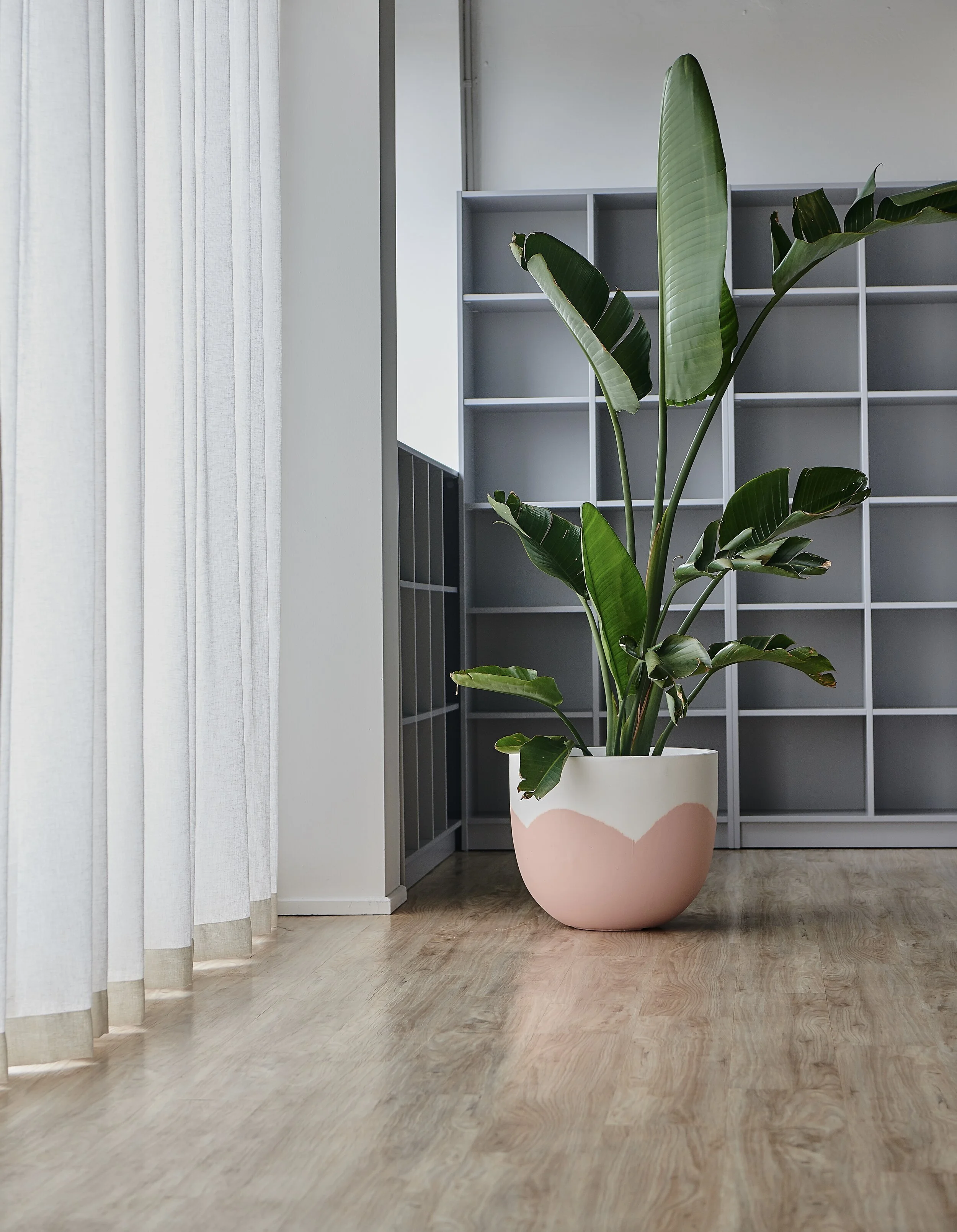 CONTROLLING THE UNCONTROLLABLE