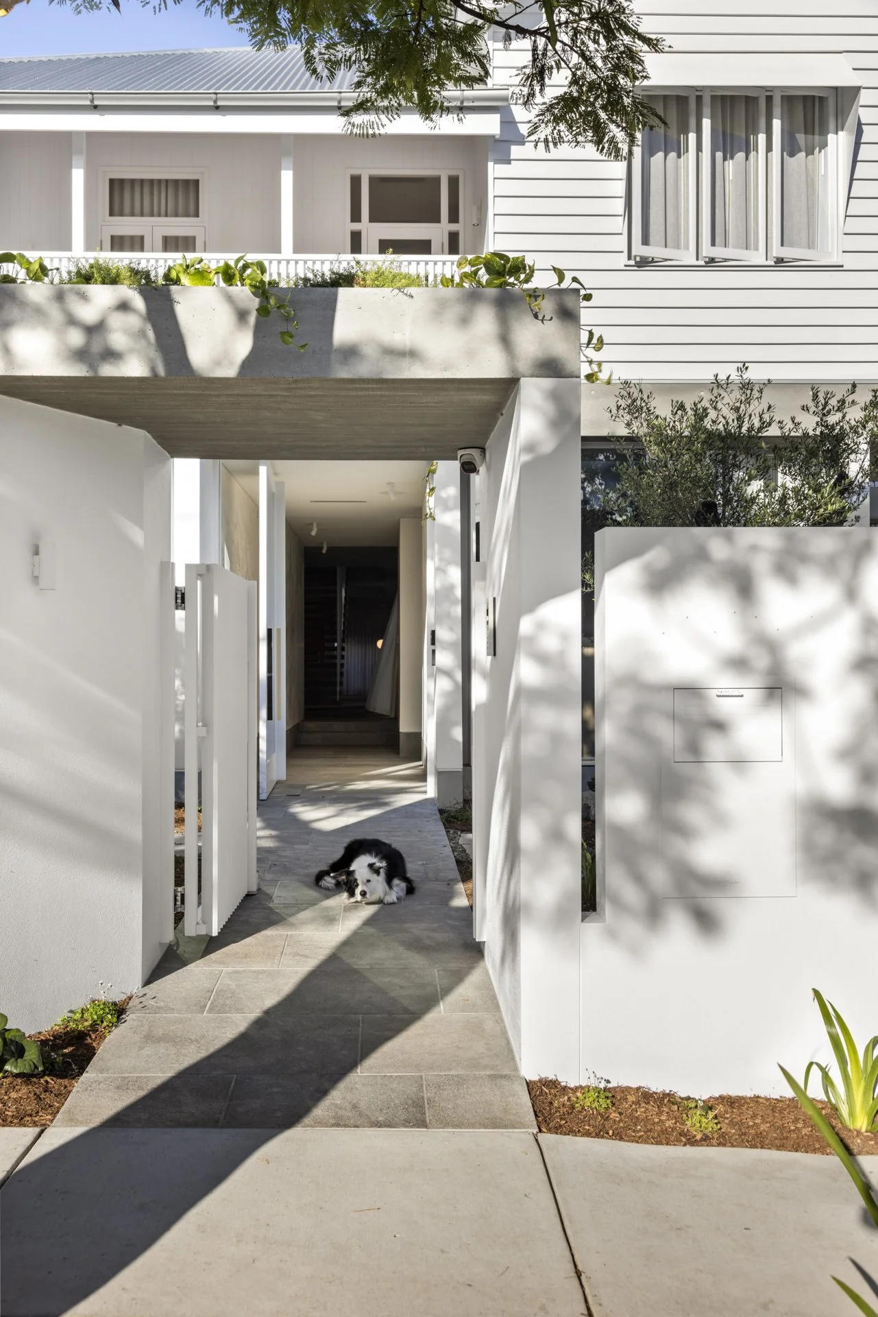 StudioBlackardt-NewFarm-LowerBowenTce-571-06.jpg
