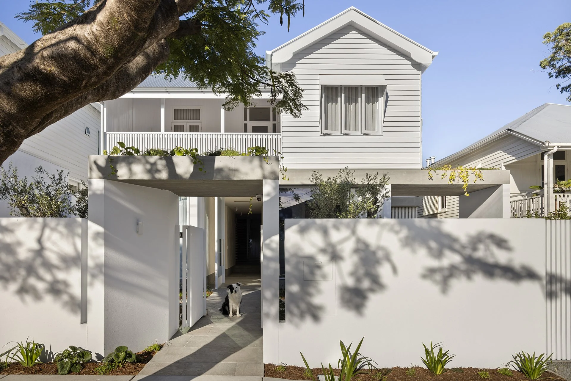 StudioBlackardt-NewFarm-LowerBowenTce-571-05.jpg