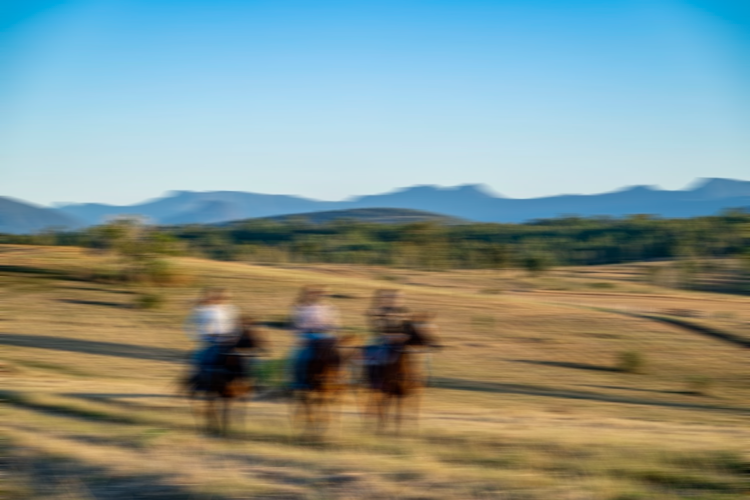 blur image.png