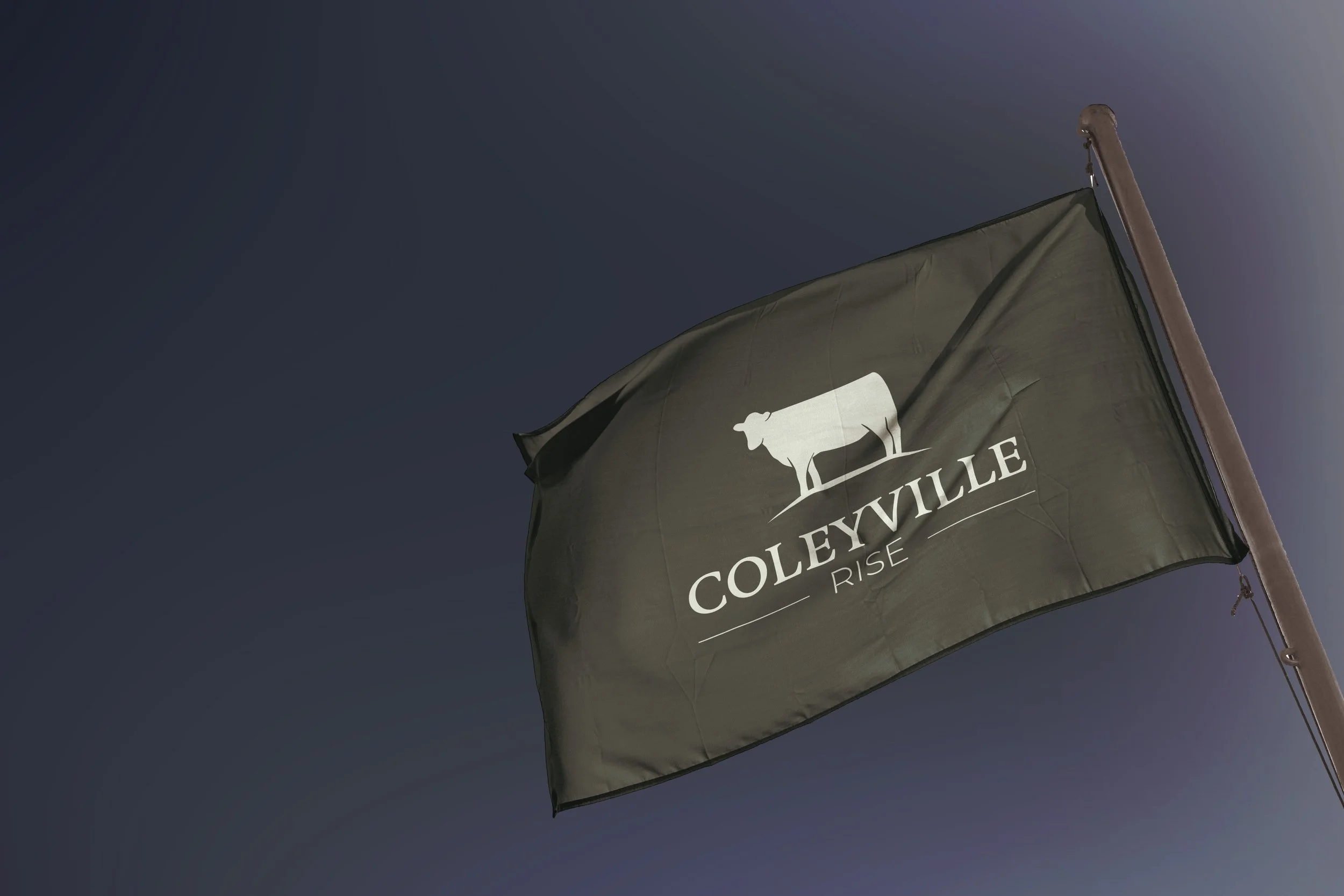 Coleyville for Norhart