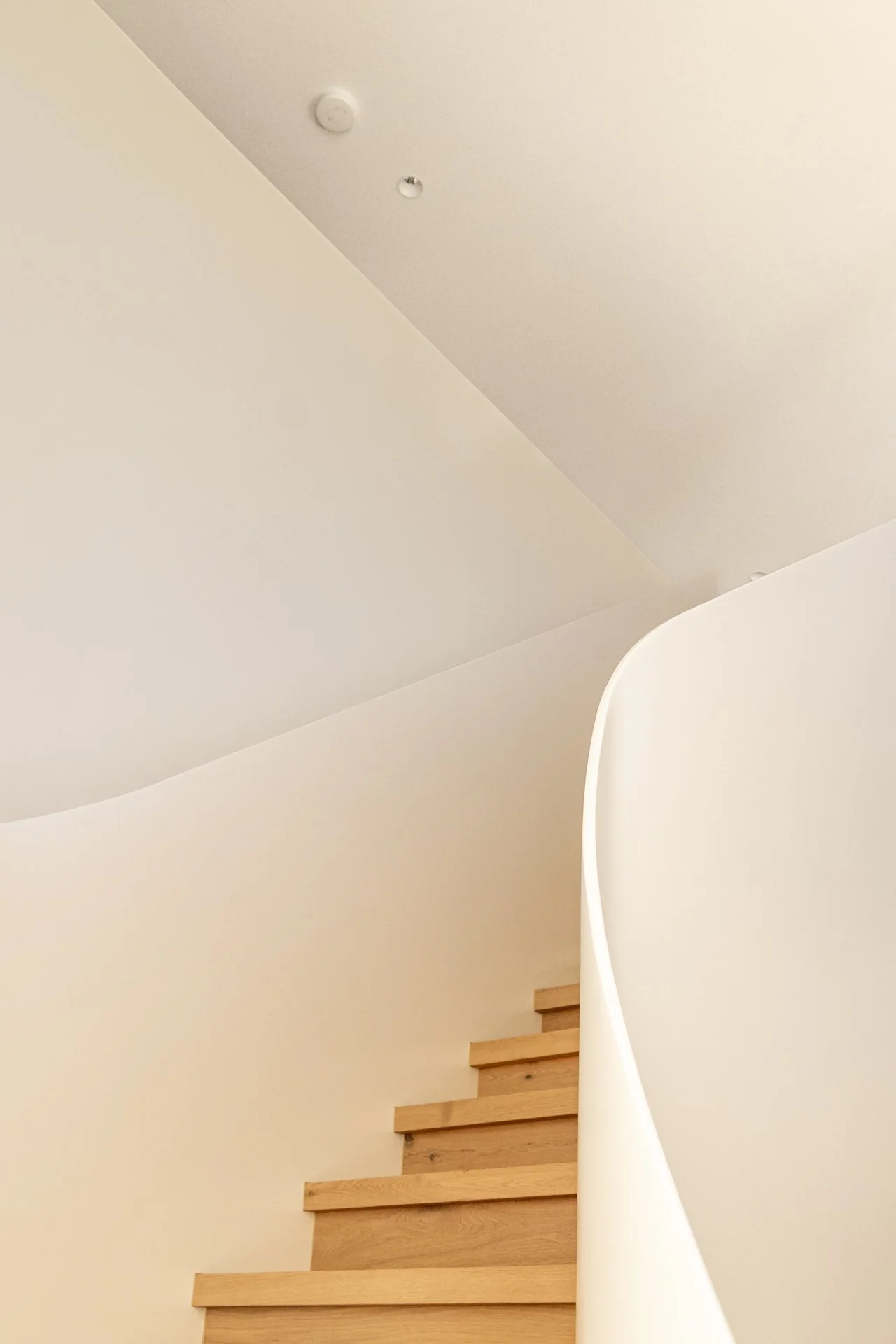 StudioBlackardt-Ideal-Indooroopilly -1.jpg