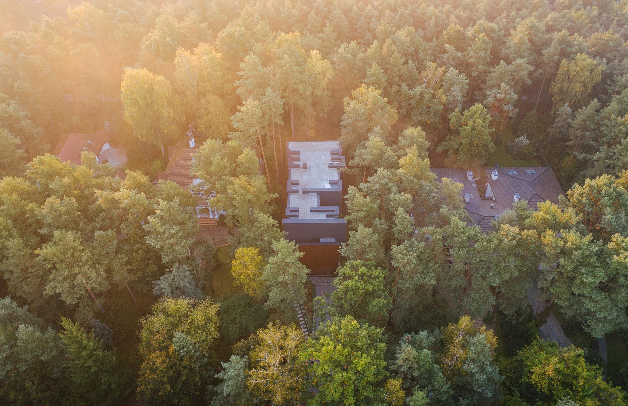 Dom Jak Las_Drone_1.jpg