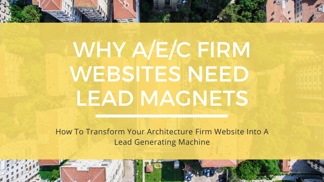 lead magnet - Blog Post Image.png