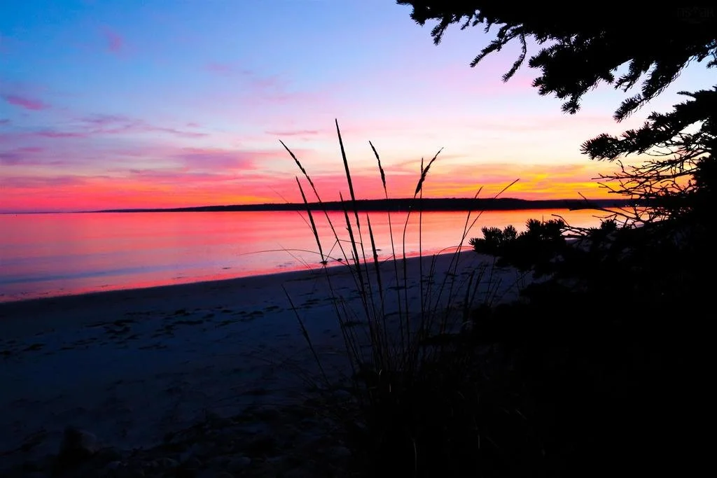 Riding the rollercoaster 