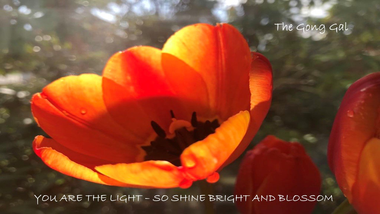 Golden Sunshine Sound Journey