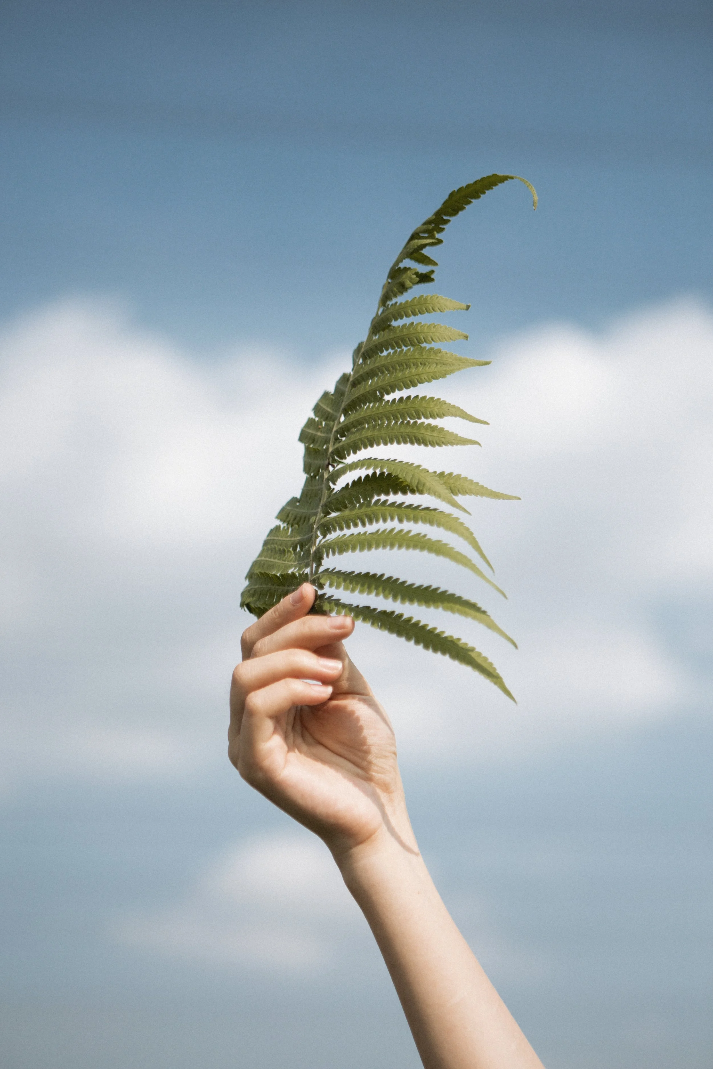 HOW (AND WHEN) TO FIND MOMENTS TO SLOW DOWN WHEN LIFE GETS CRAZY