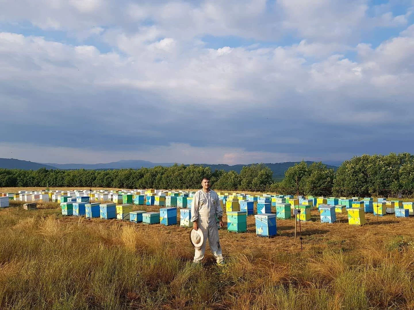 Plato S Products Home Plato S Products