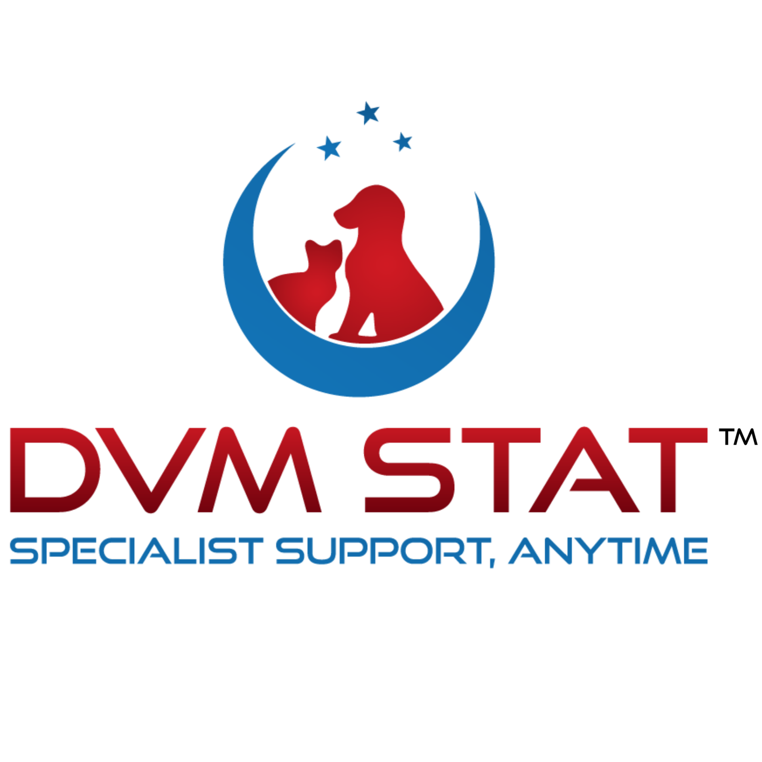 DVM STAT Consulting
