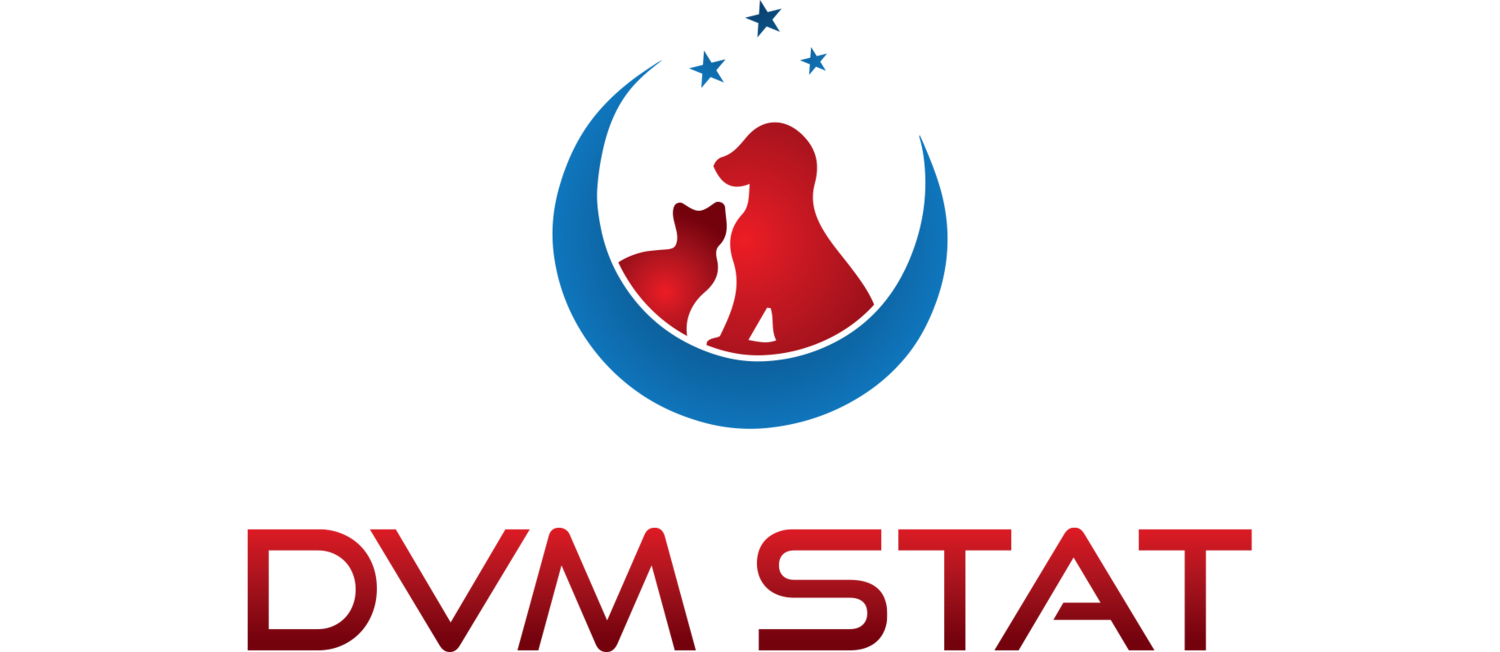 DVM STAT Consulting