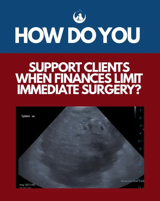 DVM STAT helped this ER team stabilize a hemoabdomen case through the weekend so the family’s primary vet could perform surgery Monday morning.
This is what virtual specialty collaboration looks like — stabilizing cases, reducing risk, a