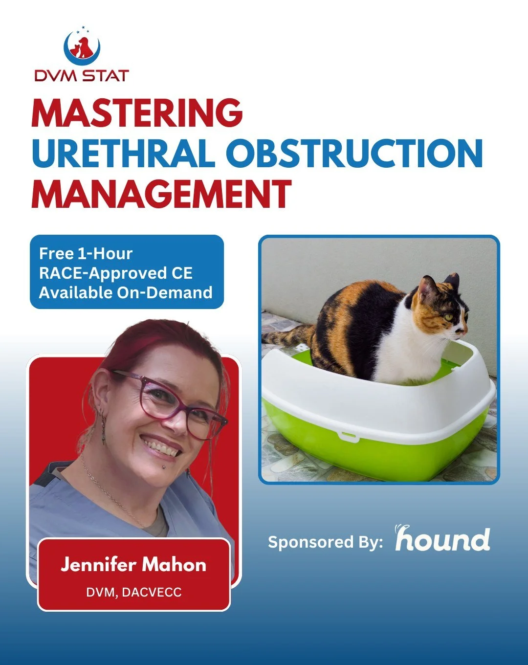 🚨 FREE RACE-Approved CE. Now Available On Demand

Feline urethral obstruction is one of the most stressful and time-sensitive emergencies in practice. Successful outcomes depend on more than just relieving the obstruction. Stabilization, electrolyte