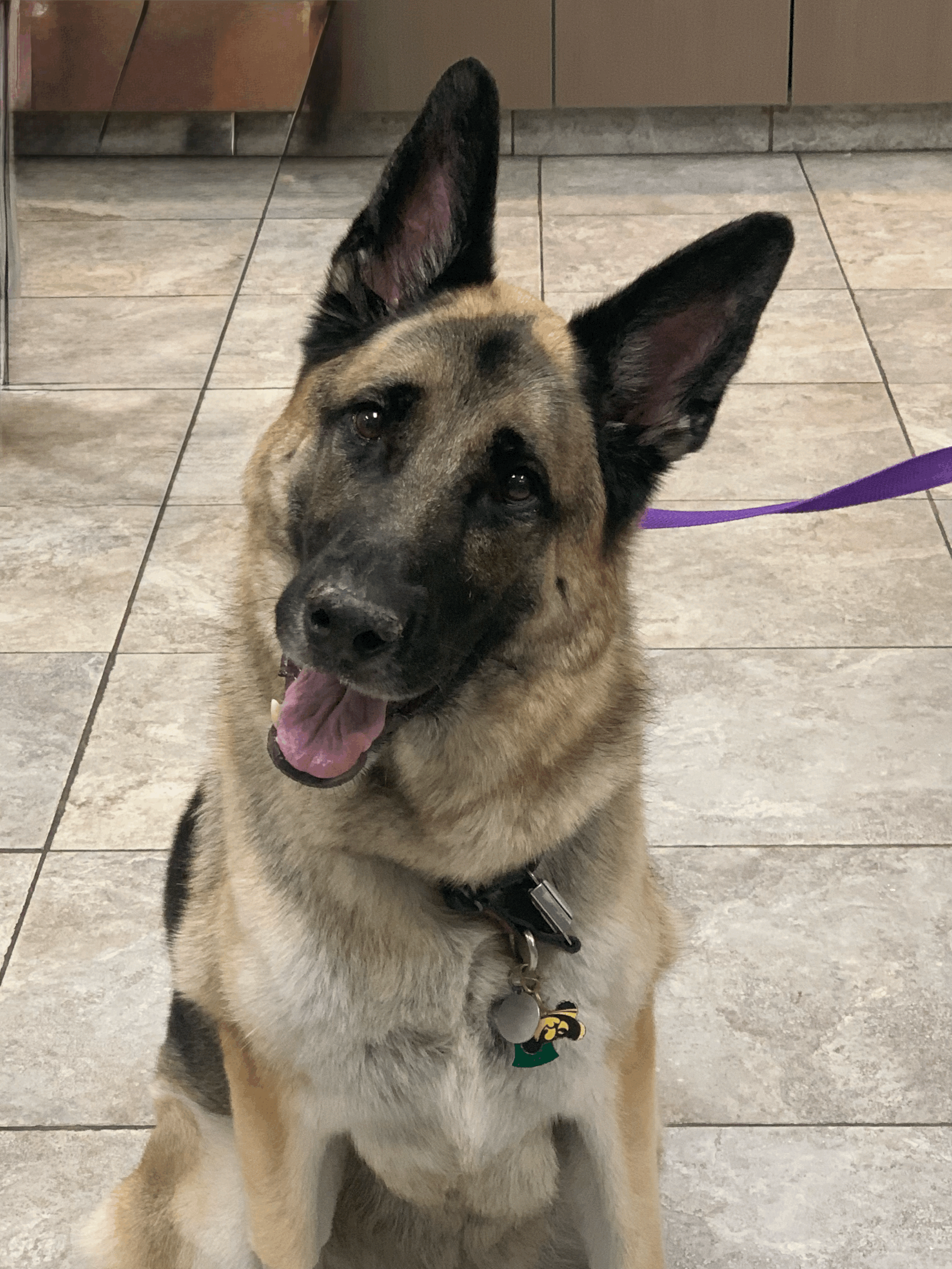 Exocrine Pancreatic Insufficiency (EPI)