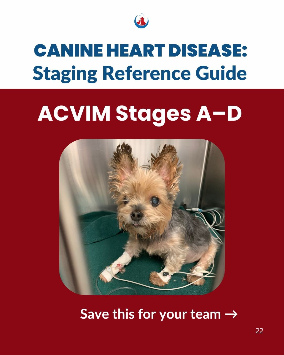 Save this. Your next MMVD patient is coming soon. 🐕❤️

ACVIM staging for canine heart disease &mdash; simplified as a quick reference. 

📌 Did you know? 30% of B1 dogs progress to B2 &amp; 30% of B2 dogs progress to C

Quick Reference Tips for Each