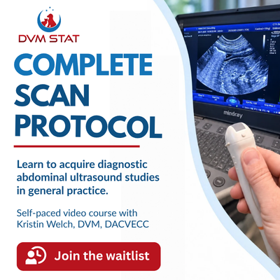 Complete Scan Protocol, a self-paced abdominal ultrasound video course for general practitioners from DVM STAT. Join the waitlist.