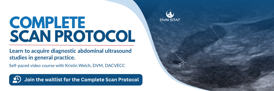 Complete Scan Protocol, a self-paced abdominal ultrasound video course for general practitioners from DVM STAT. Join the waitlist.