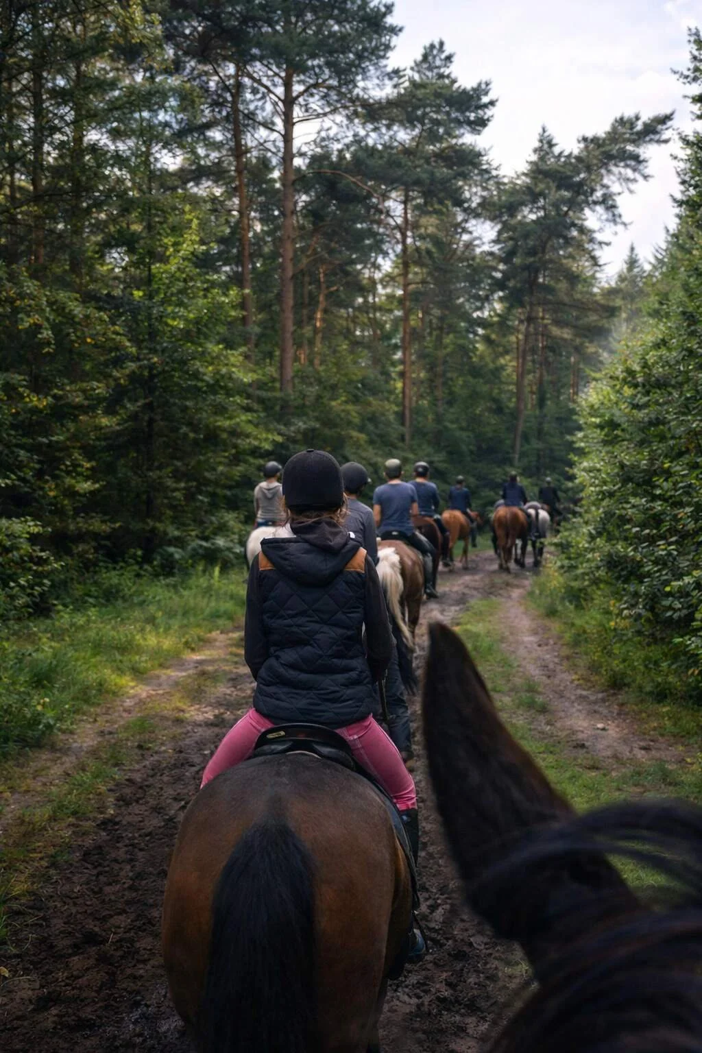 Groep ruiters van achter gefotografeerd, rijdt over een ruiterpad dwars door een bosrijke omgeving met aan beide zijden groene bomen.