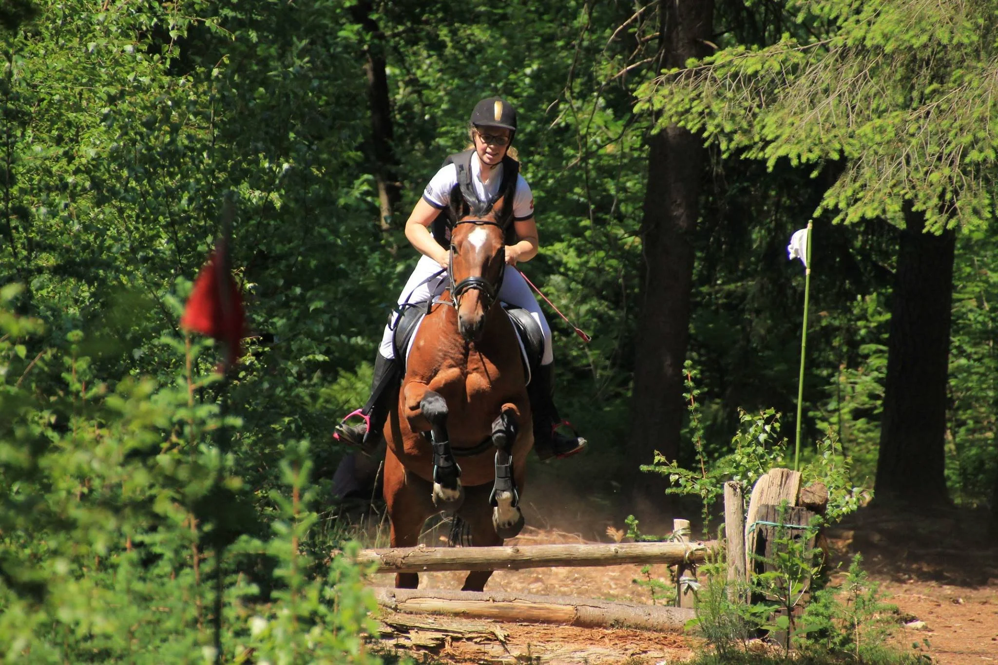 Een ruiter springt met haar paard over een houten hindernis midden in het bos, omringt door groene bomen en struiken. De sprong is van vooraf gefotografeerd, waardoor de blik op het gezicht van de ruiter en het paard goed zichtbaar is. Naast de hinde
