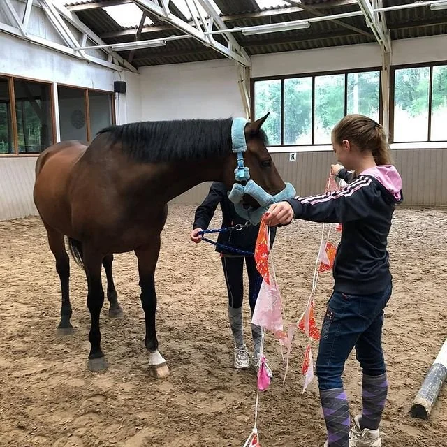 Twee personen staan met een paard in de binnenrijbaan van Manege Zeisterbos. Een van hen houdt kleurrijke vlaggetjes vast en het paard kijkt er geïnteresseerd naar. De ander houdt het paard aan de teugels vast, die verbonden zijn aan een lichtblauw h