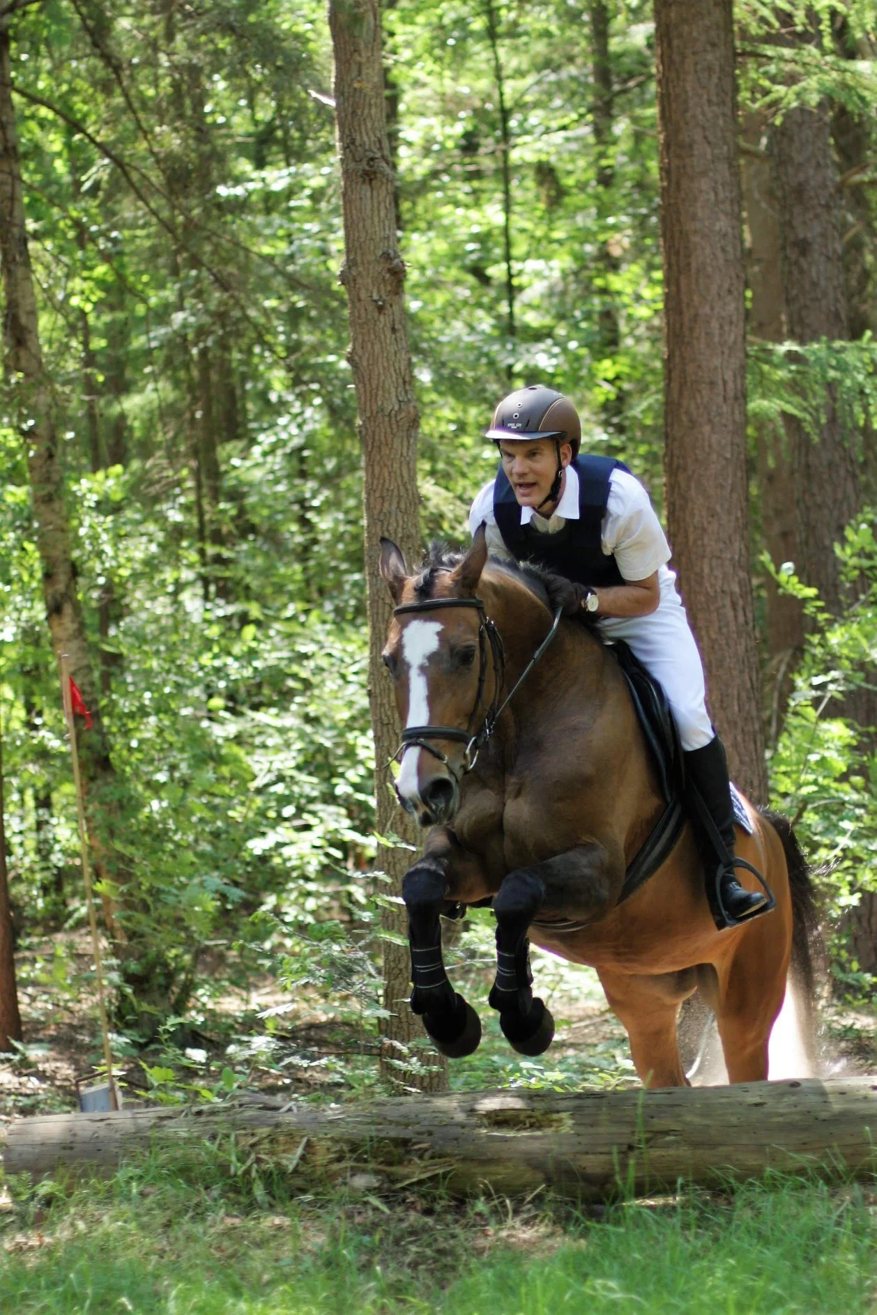 Een ruiter springt te paard over een boomstam in een bos op de Utrechtse Heuvelrug. Het paard is bruin met een wit gezicht. De ruiter is gekleed in witzwarte ruiterkleding met zwarte cap. Op de achtergrond staan veel bomen met groene bladeren.