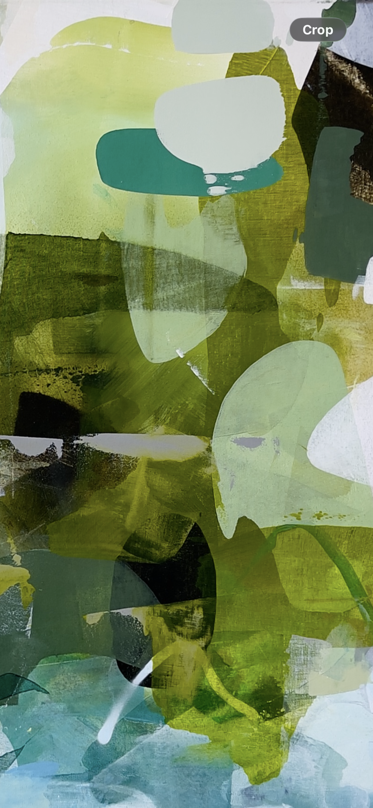 IMG_8656.png