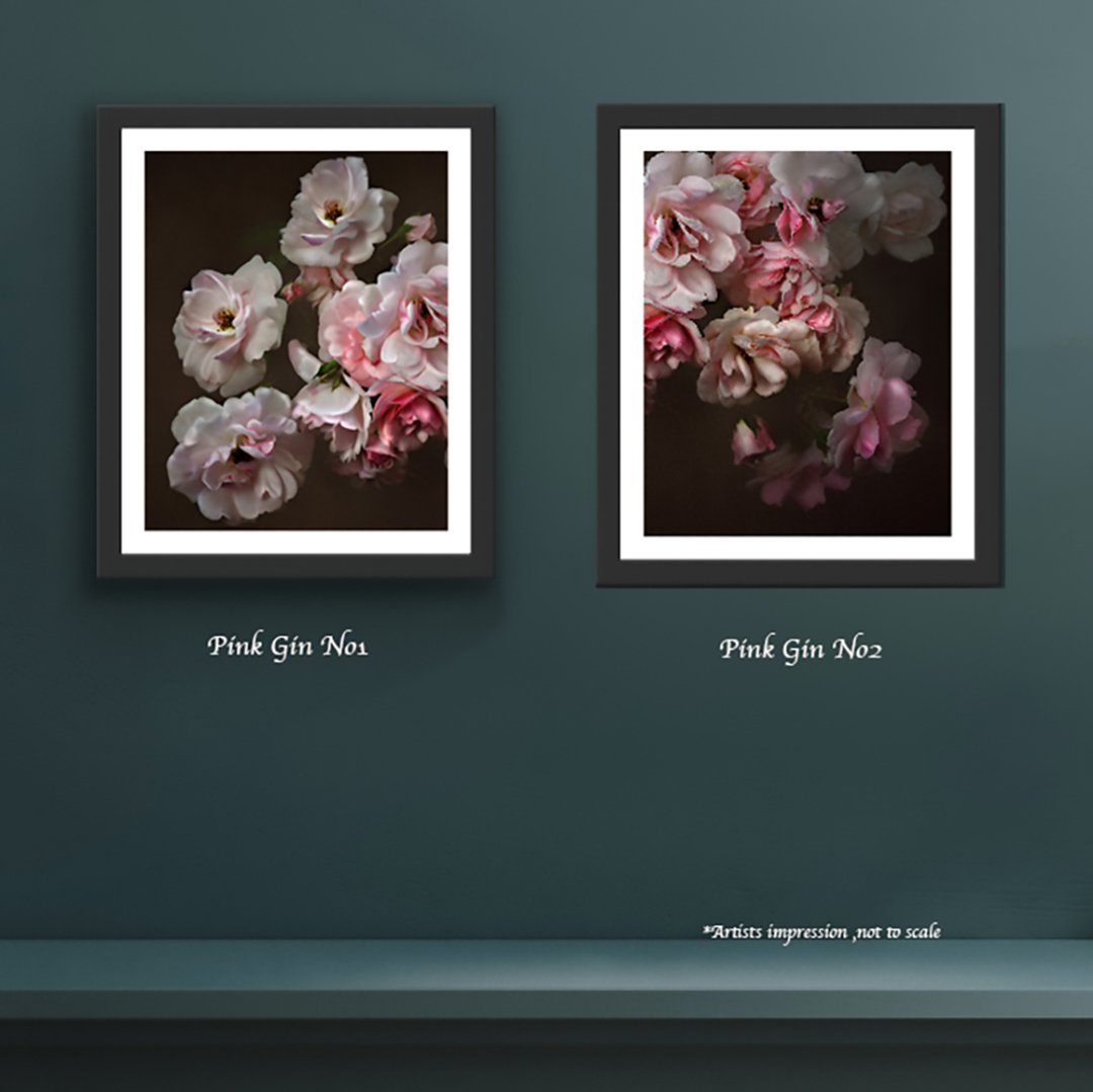 Artisits Imp Pink 1 and 2.jpg