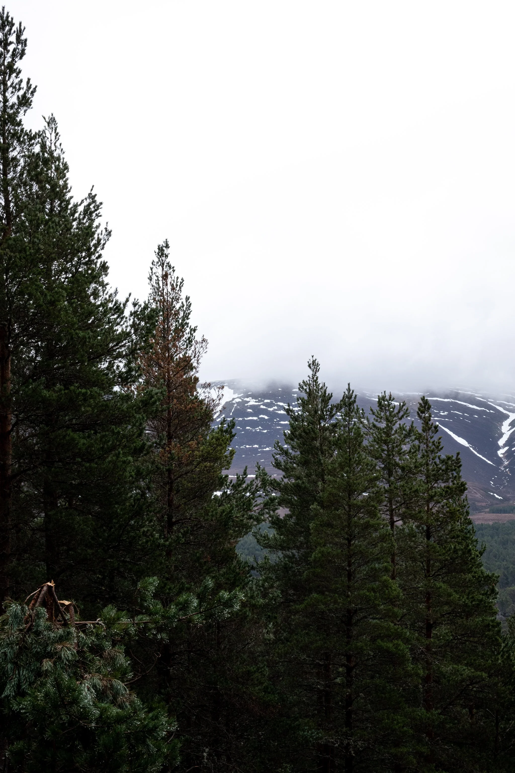 DSCF8707.jpg