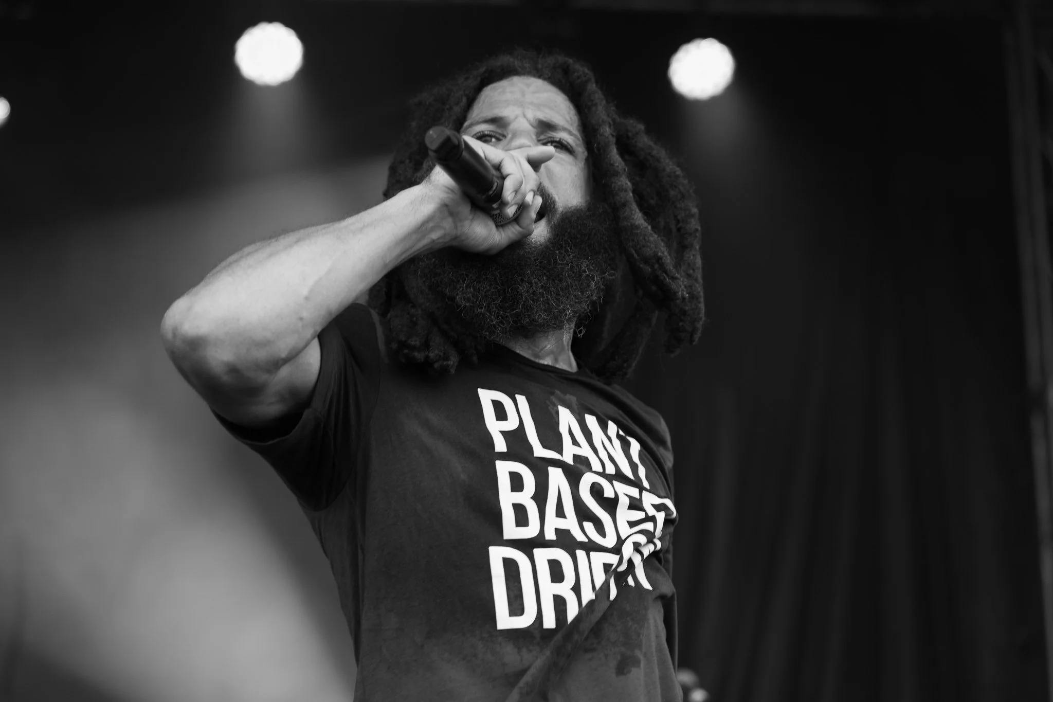 PBD Grey In Concert Live