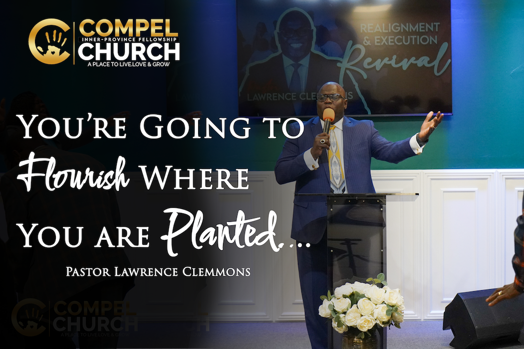 You’re Going to Flourish where you are Planted