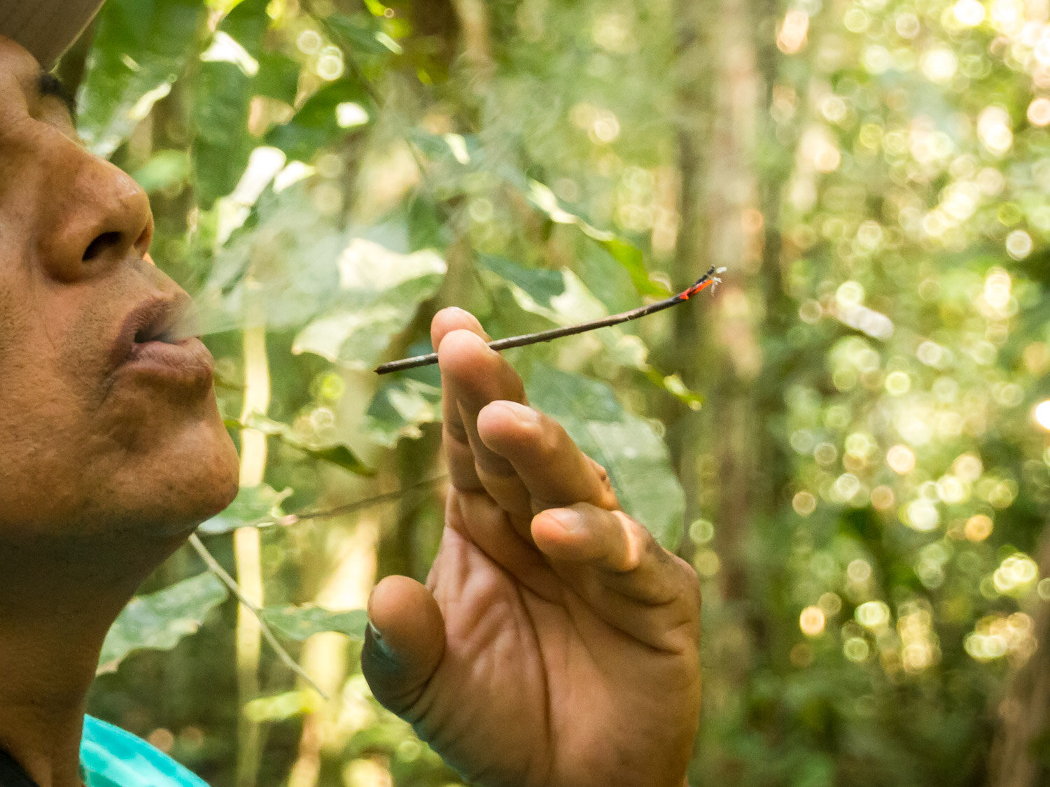 Smoking a branch