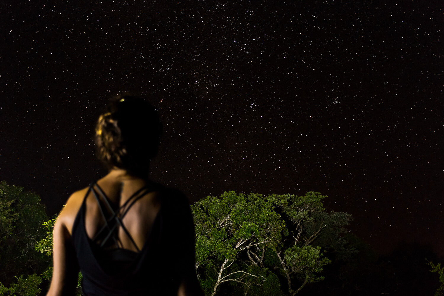 Counting Stars