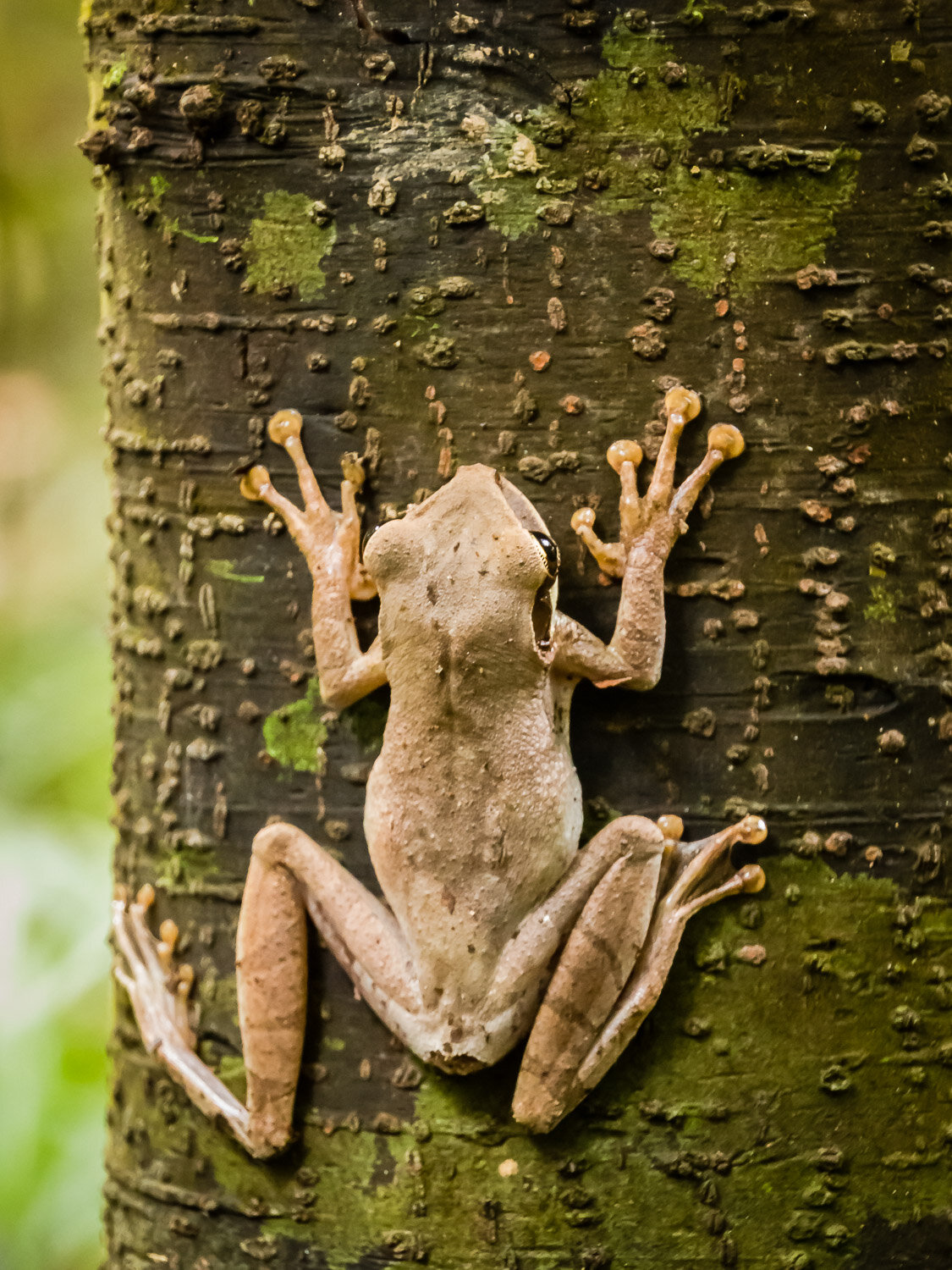 Hanging in there
