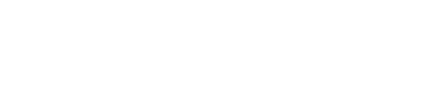 Virtual Polo