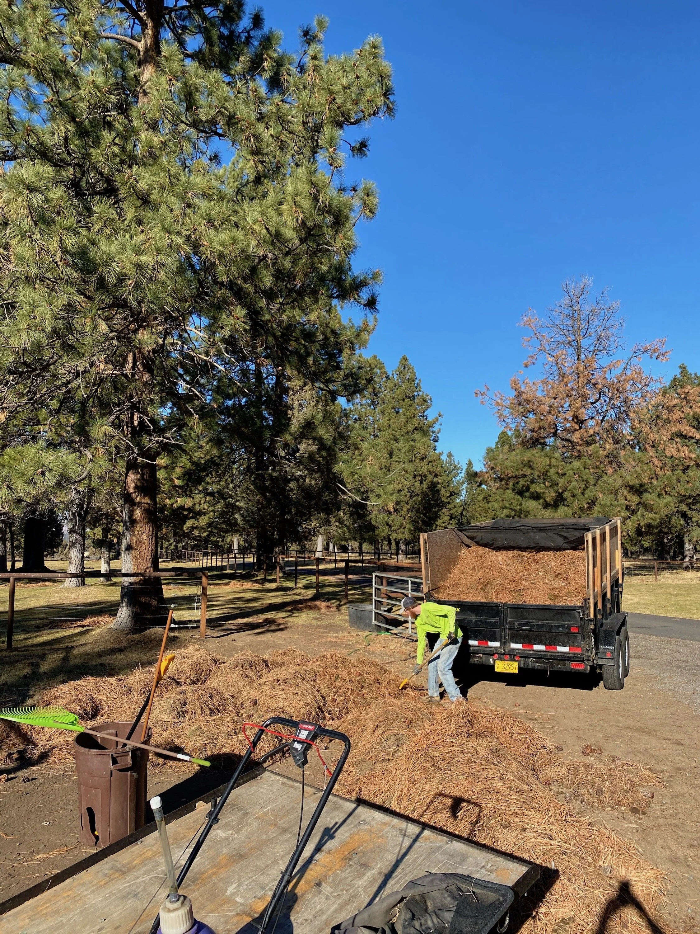 Yard Debris Removal 