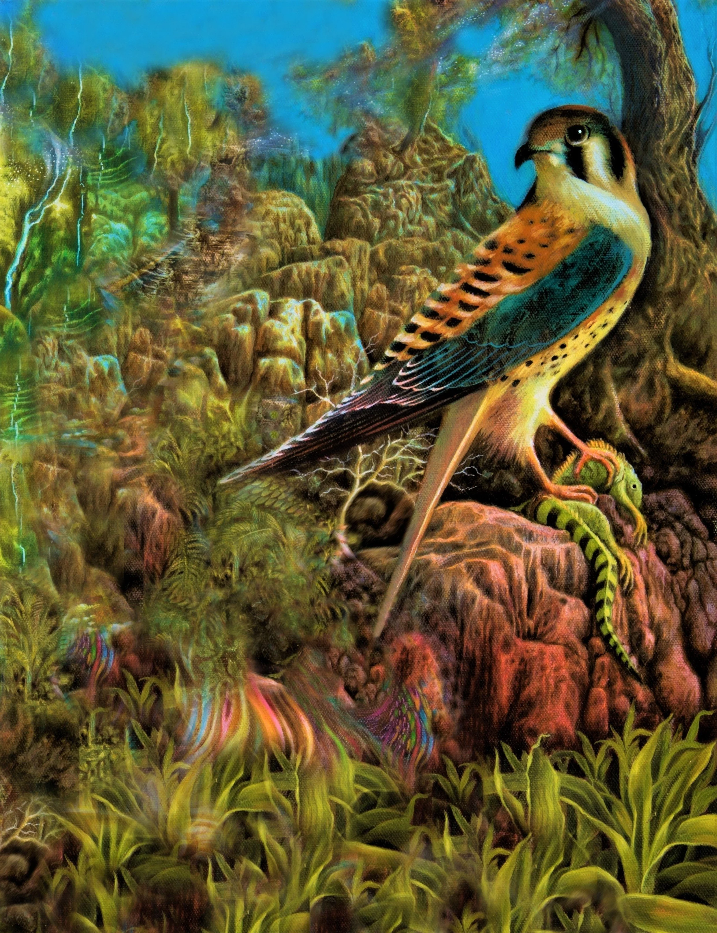 Kestrel and Iguana.jpg