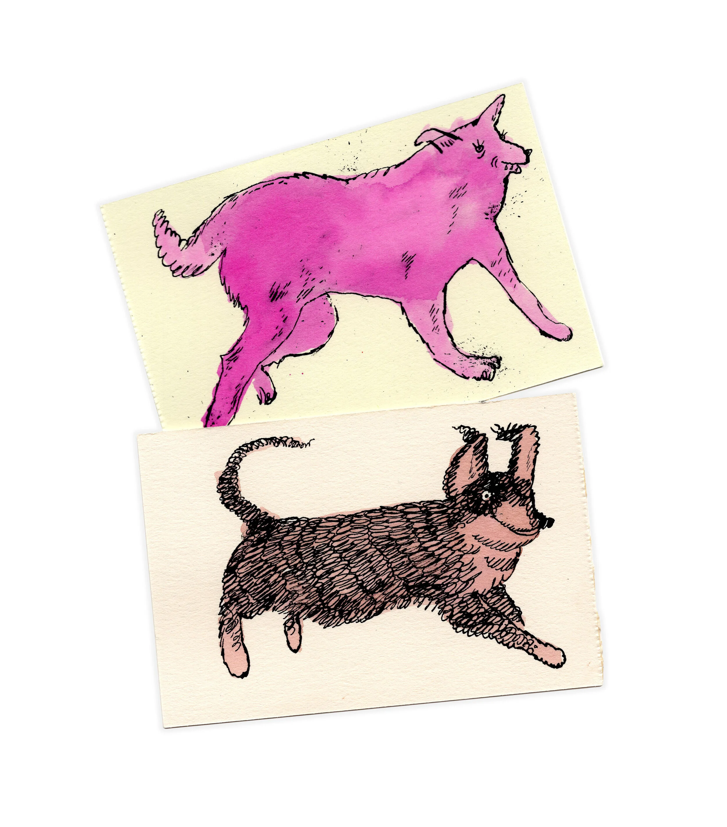 drop shadow dogs collection.jpg
