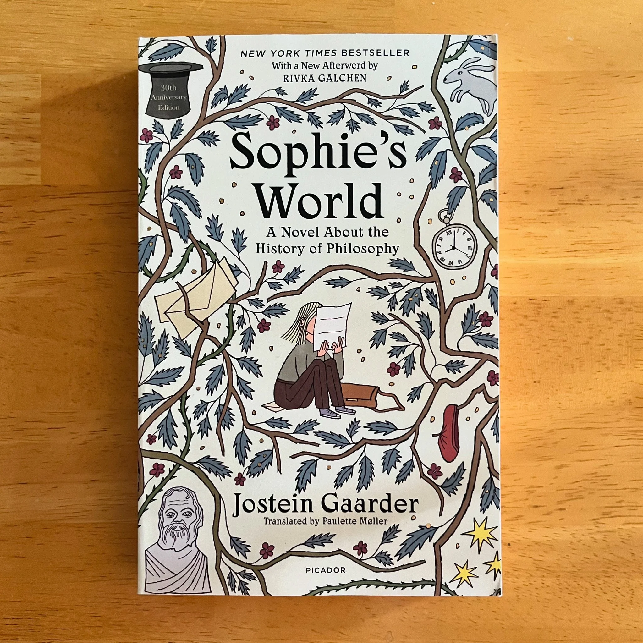  Book cover for  Picador , 2024. AD: Alex Merto.  