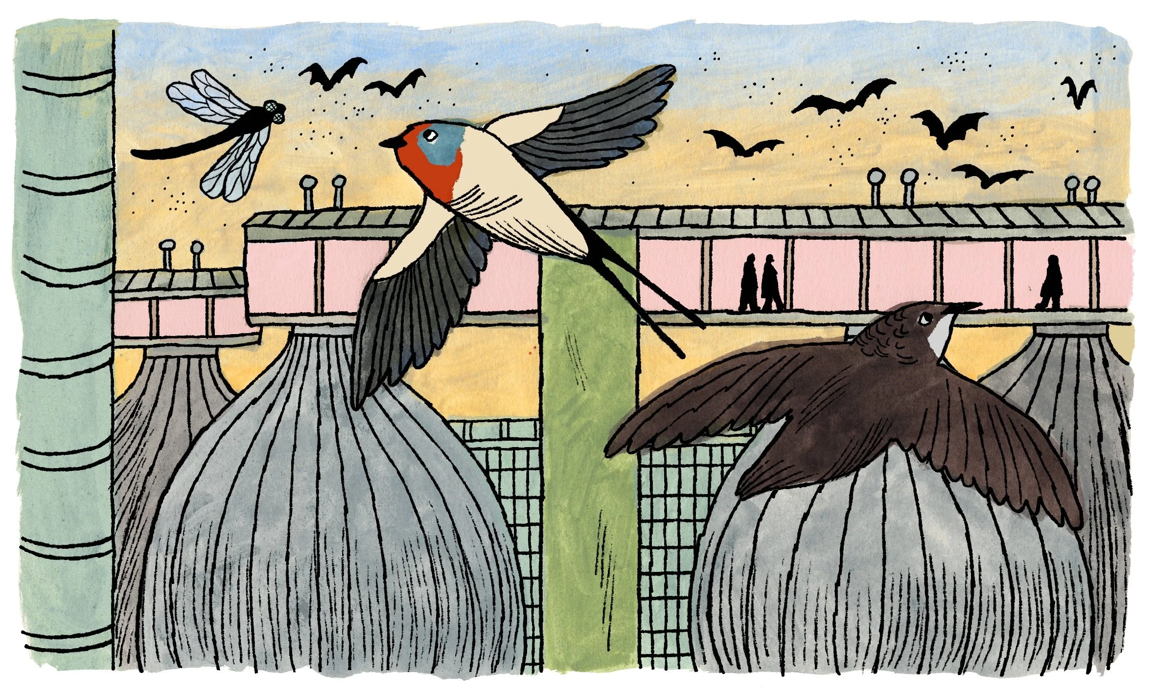 digester eggs fewer bats more flies REVISED.jpg