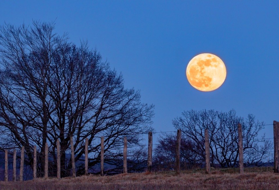 Full Moon Hike