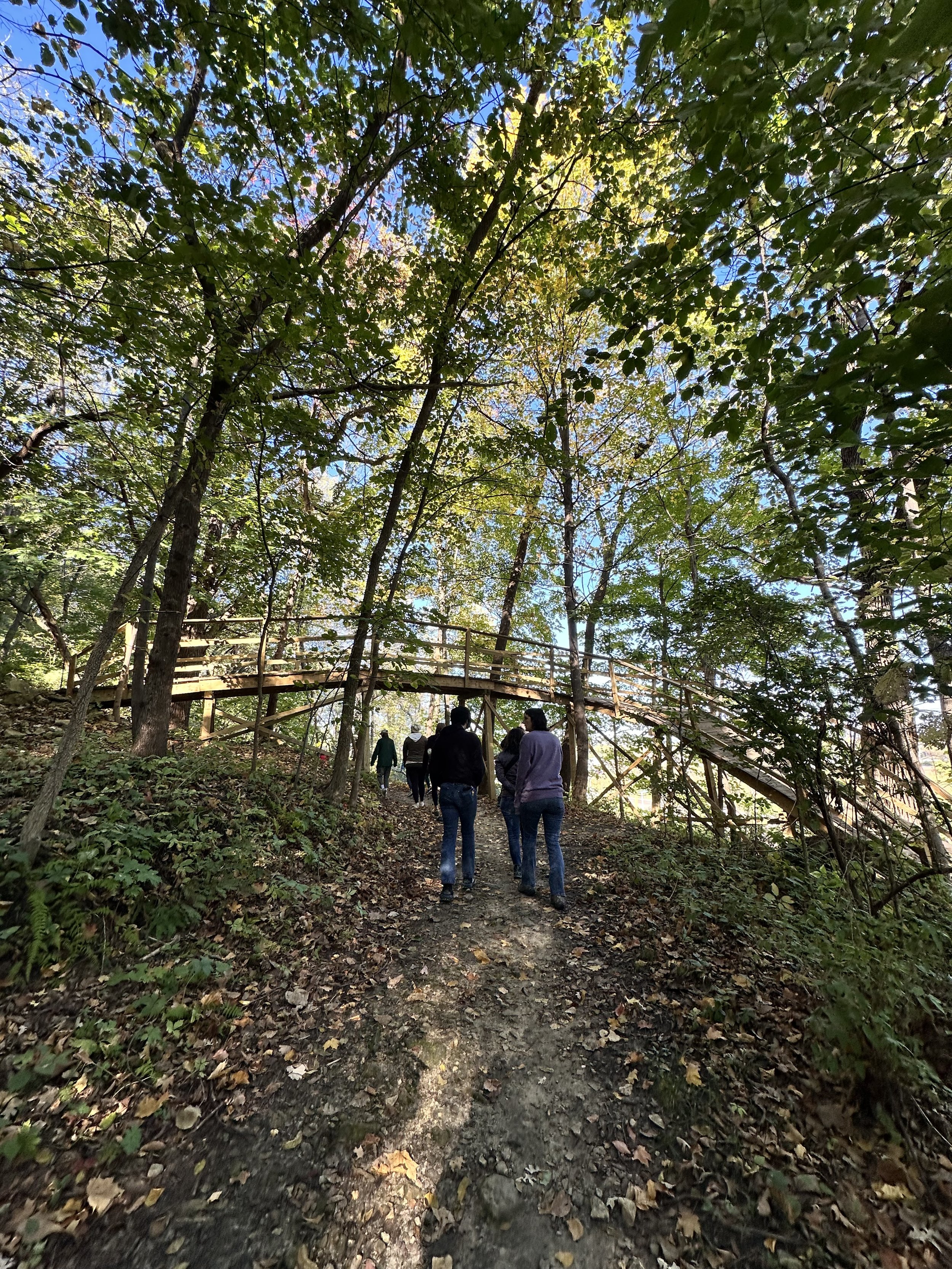 Social Hike