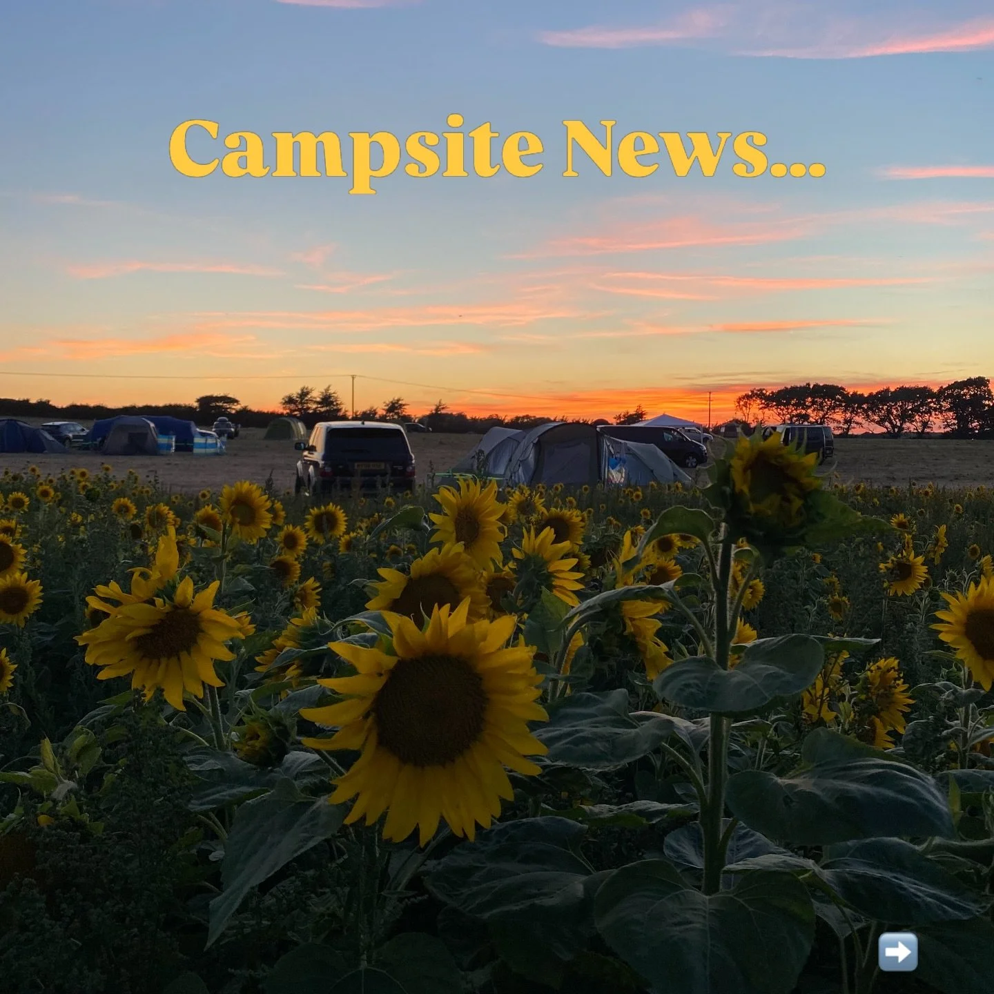 Campsite News:

With a heavy heart I announce that after nine seasons of running Galton Campsite, we are shutting the campground gates for good. In 2017 we opened the campsite to support a small family along side the family farm. We have enjoyed welc